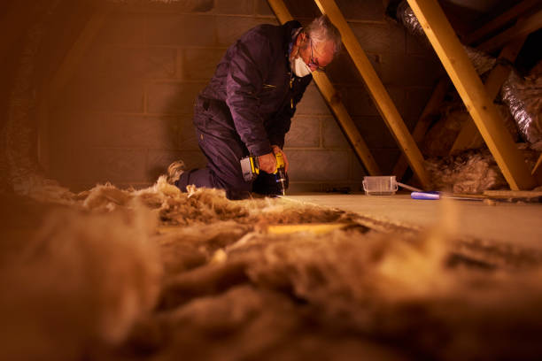 Best Crawl Space Insulation  in Arlington Heights, WA